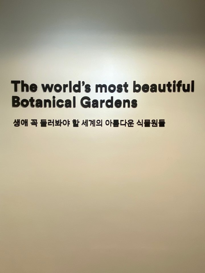 사계 여름