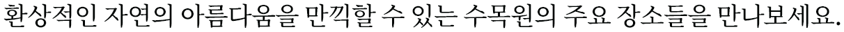 환상적인 자연의 아름다움을 만끽할 수 있는 수목원의 주요 장소들을 만나보세요.